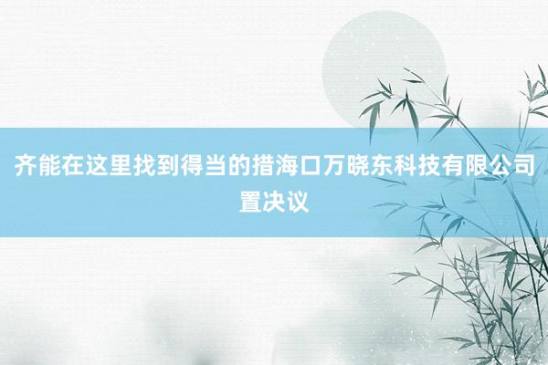 齐能在这里找到得当的措海口万晓东科技有限公司置决议
