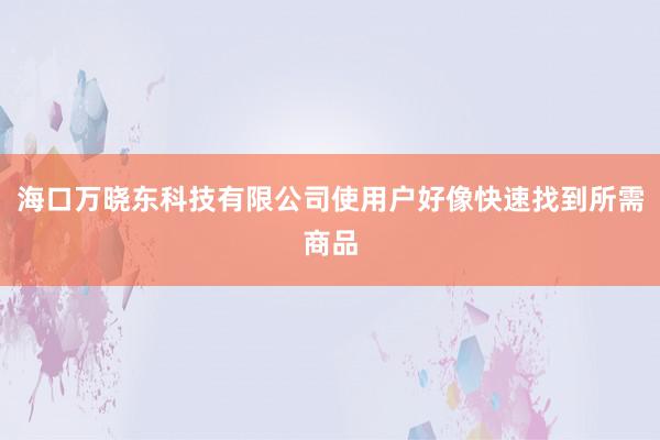 海口万晓东科技有限公司使用户好像快速找到所需商品